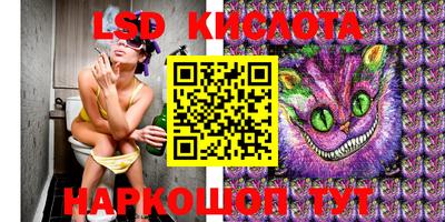 эйфоретик Камышлов