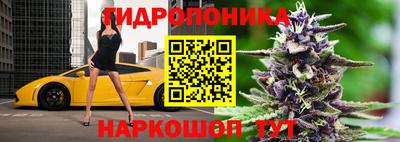 эйфоретик Камышлов