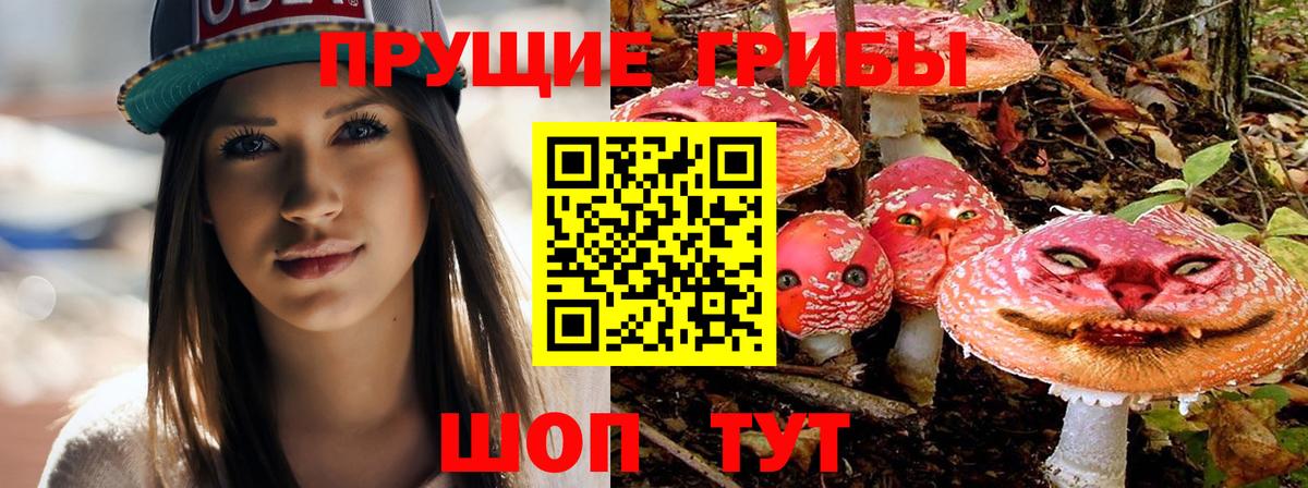 Псилоцибиновые грибы GOLDEN TEACHER Курчалой